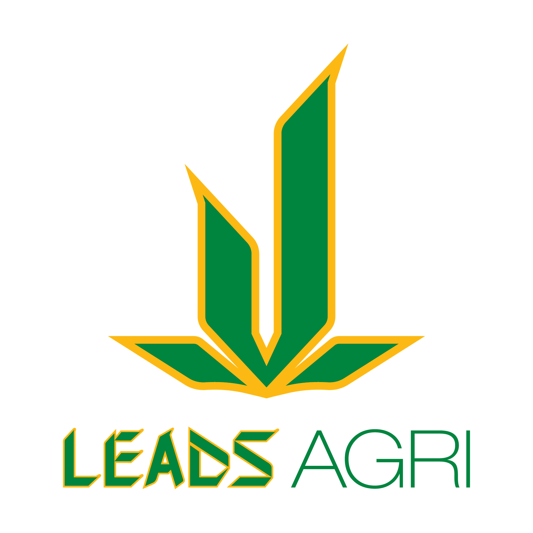 Leads DeskMetamorph Logo